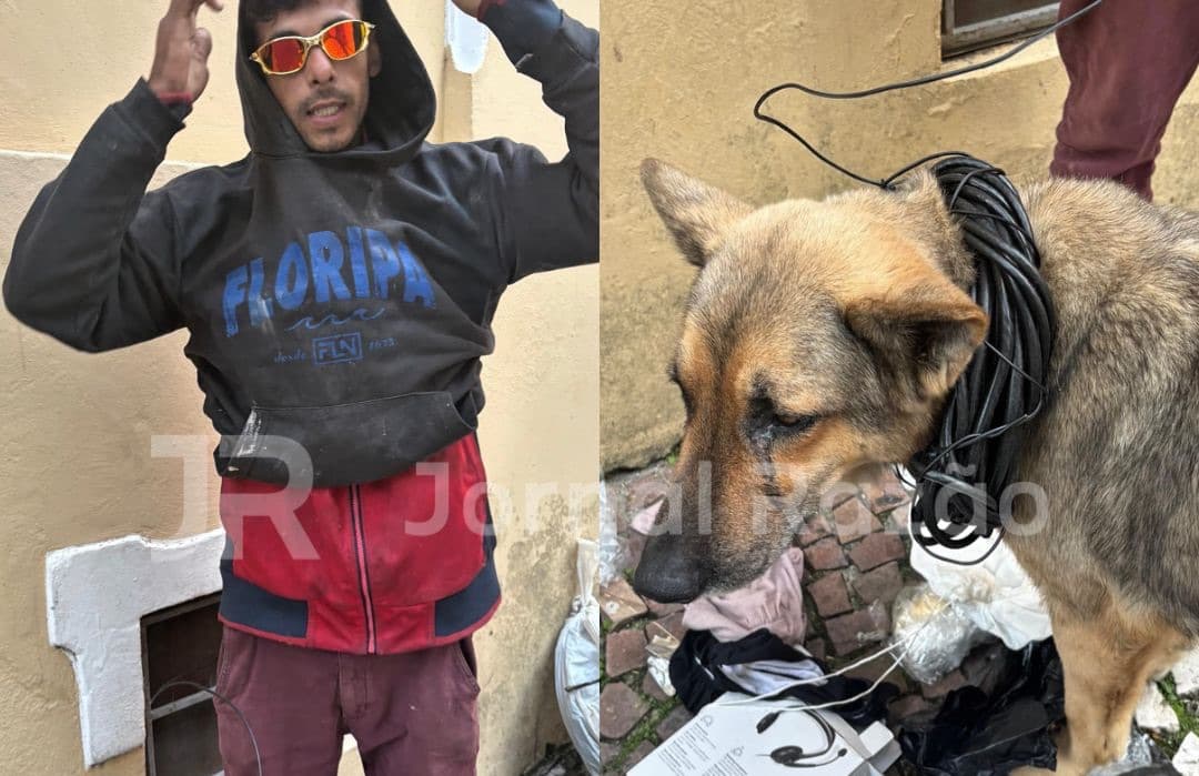 “Poste vivo”: morador de rua enrola fios no pescoço de cachorro enquanto furta em Florianópolis