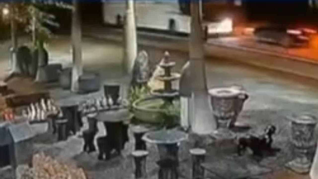 Imagens de câmera mostram acidente entre carro e ônibus na BR-470