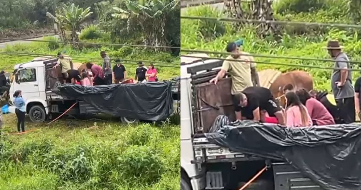 Homem de 58 anos morre em acampamento após cavalgada no Vale do Rio Tijucas
