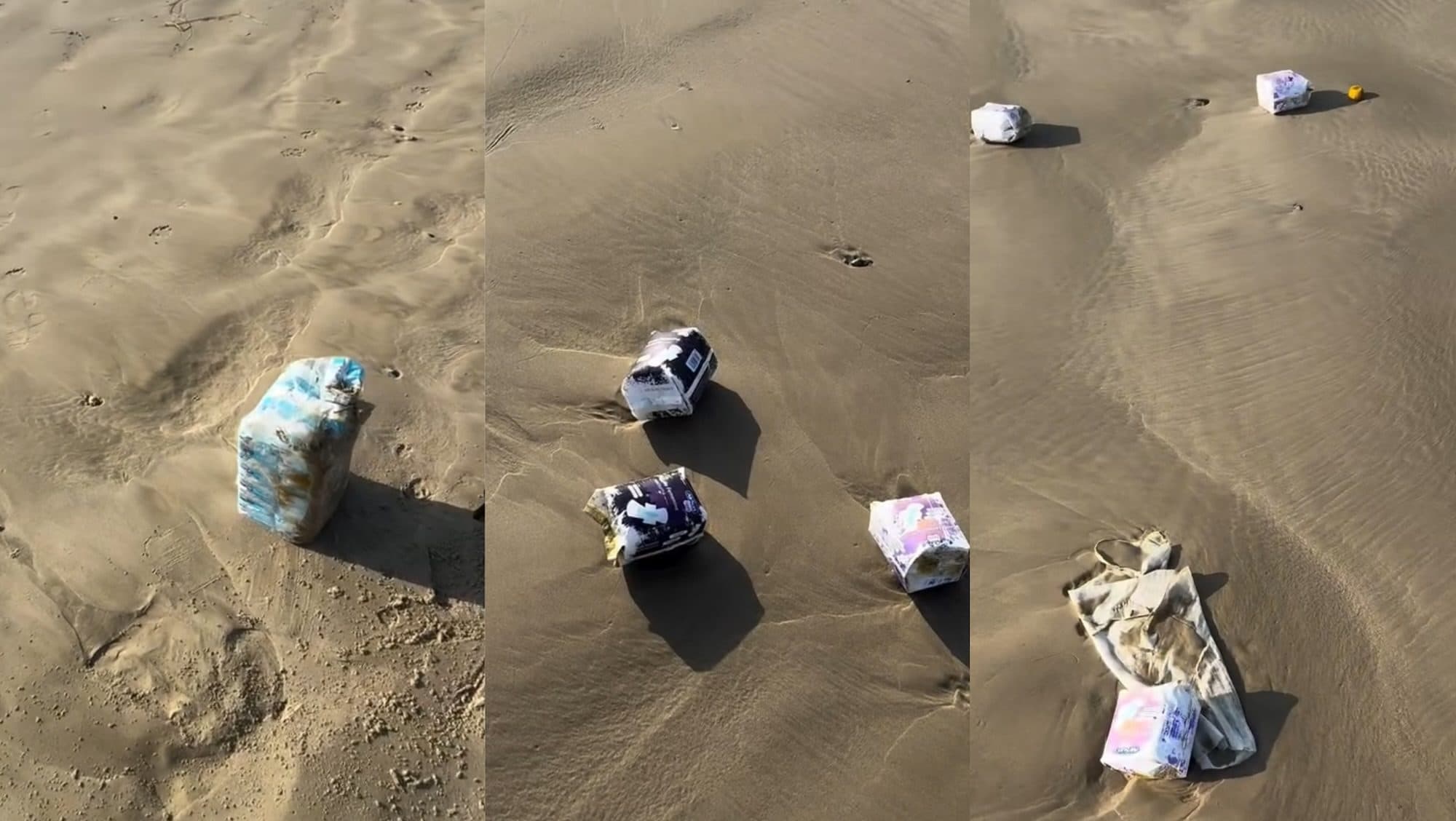 Praia de SC amanhece forrada de absorventes e surpreende moradores e turistas
