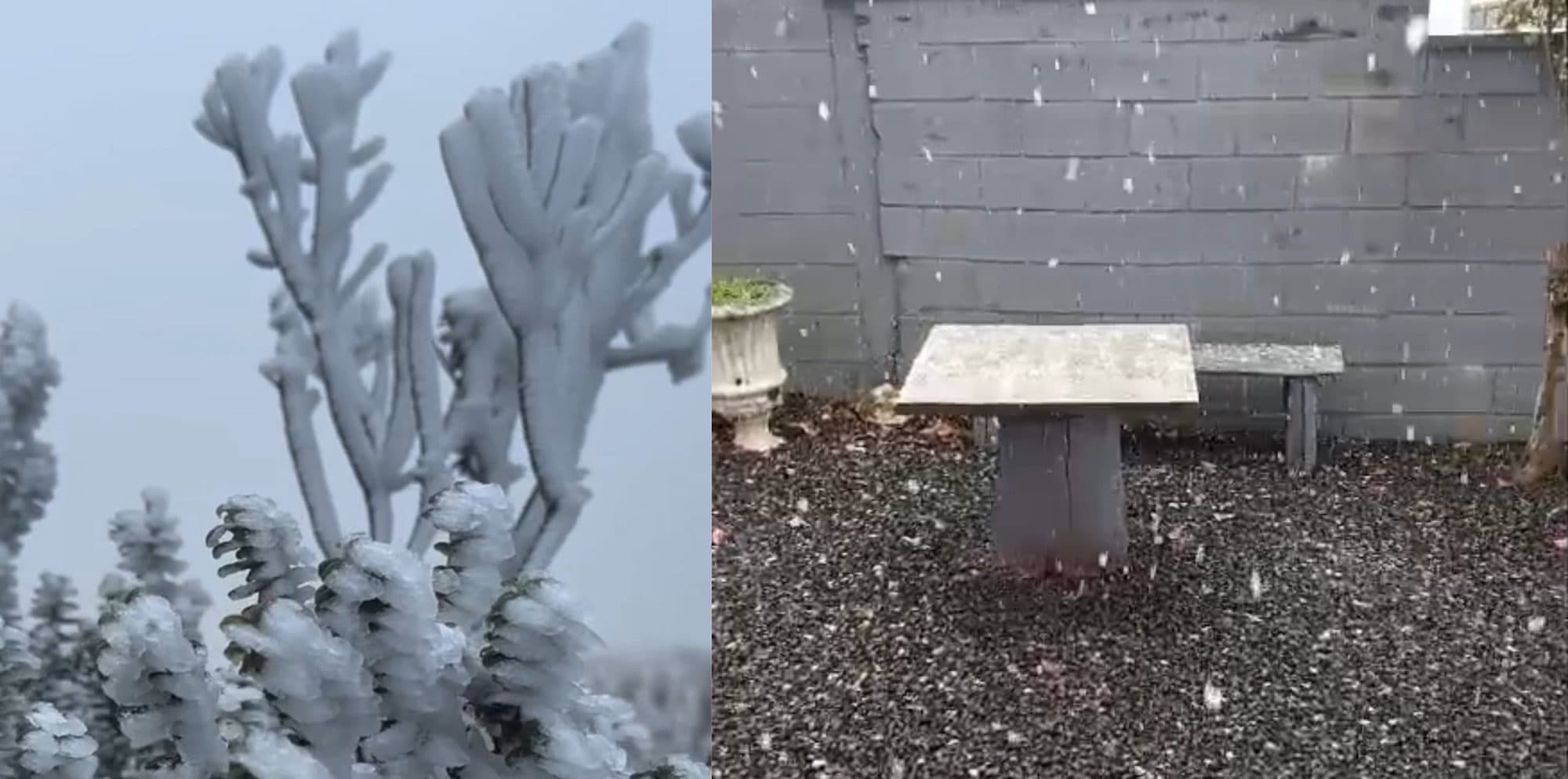 Neve cai pela terceira vez em 2025 na Serra Catarinense e encanta moradores e turistas