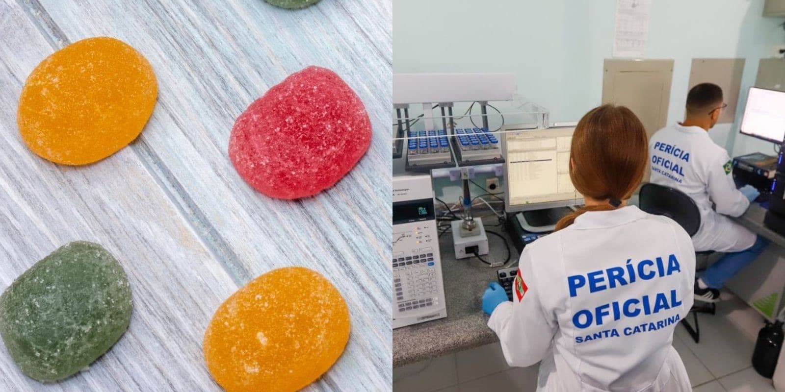 Polícia Científica identifica drogas sintéticas inéditas em gomas com “efeitos mágicos” apreendidas em SC