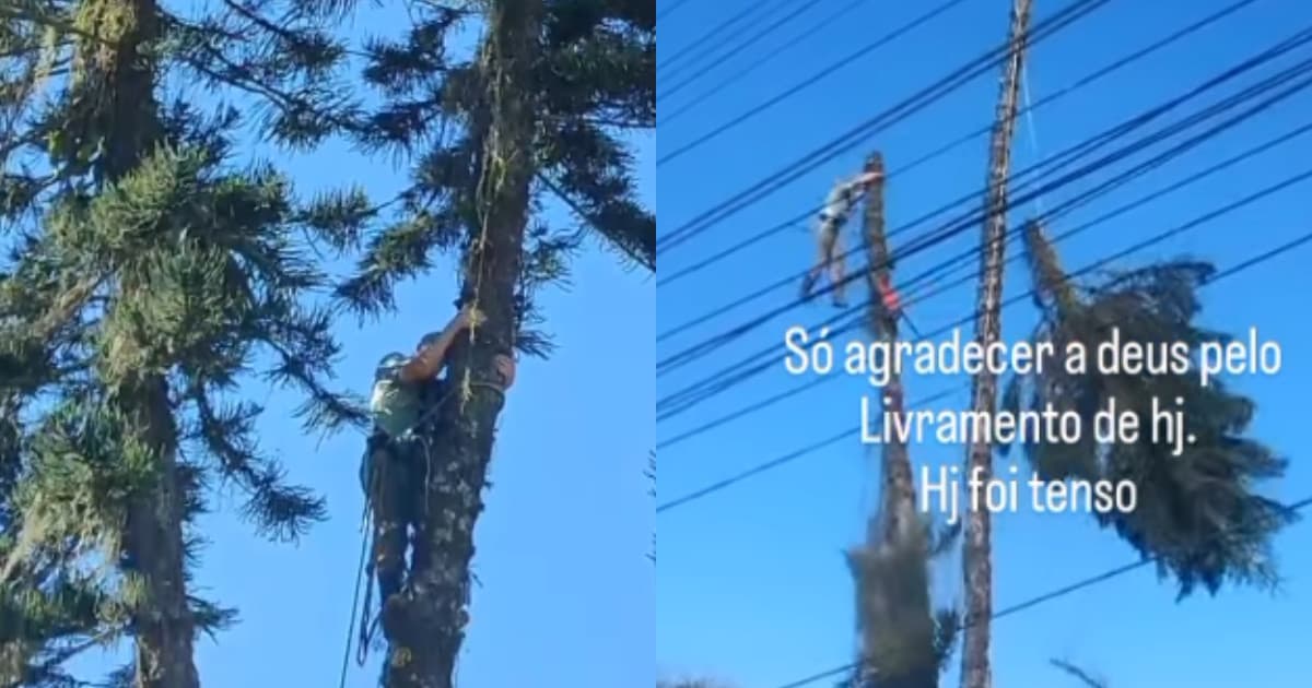 “Livramento”: trabalhador se desequilibra em corte de árvore e quase sofre acidente fatal em SC