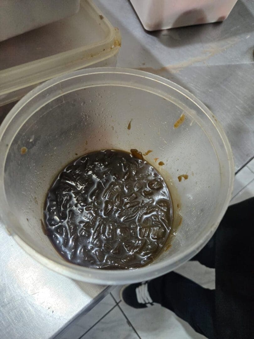 Restaurante em Itajaí é interditado após flagrante de alimentos estragados e sinais de pragas