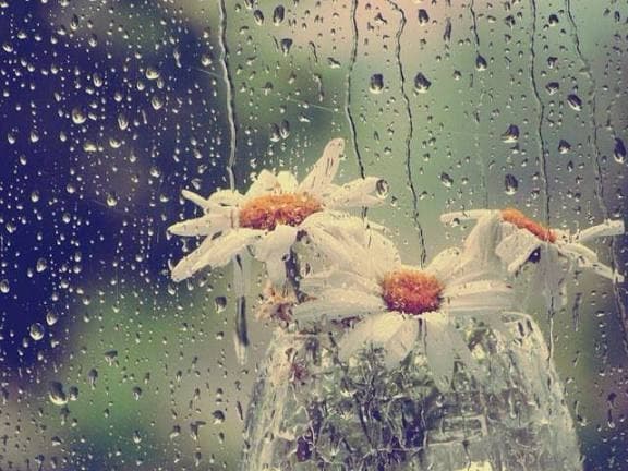 Primavera com cara de inverno: temporais e queda de temperatura no Sul