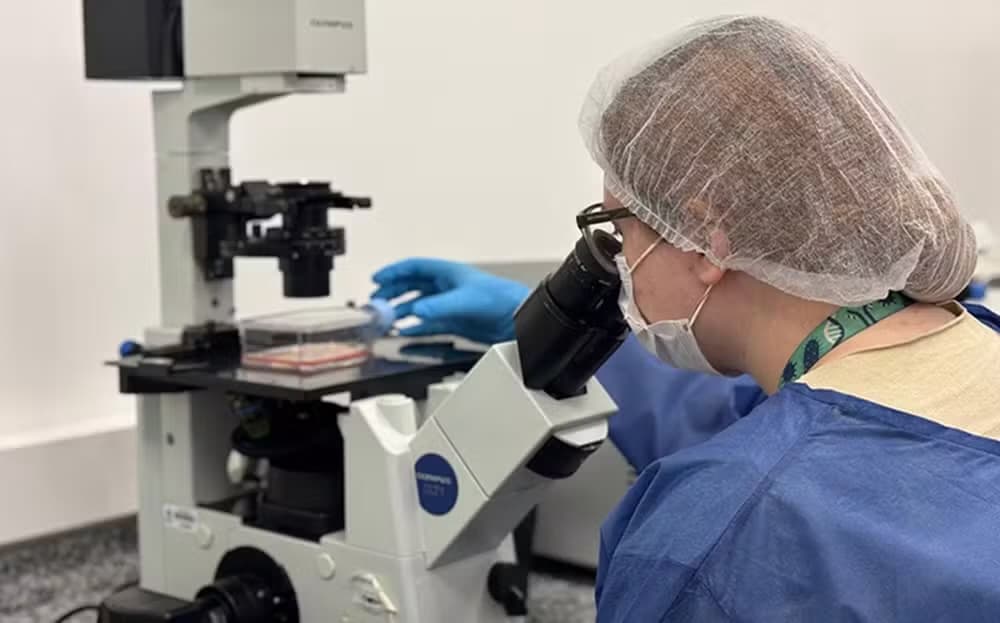 Estudantes da UFSC usam orégano para combater “epidemia de verão” em SC