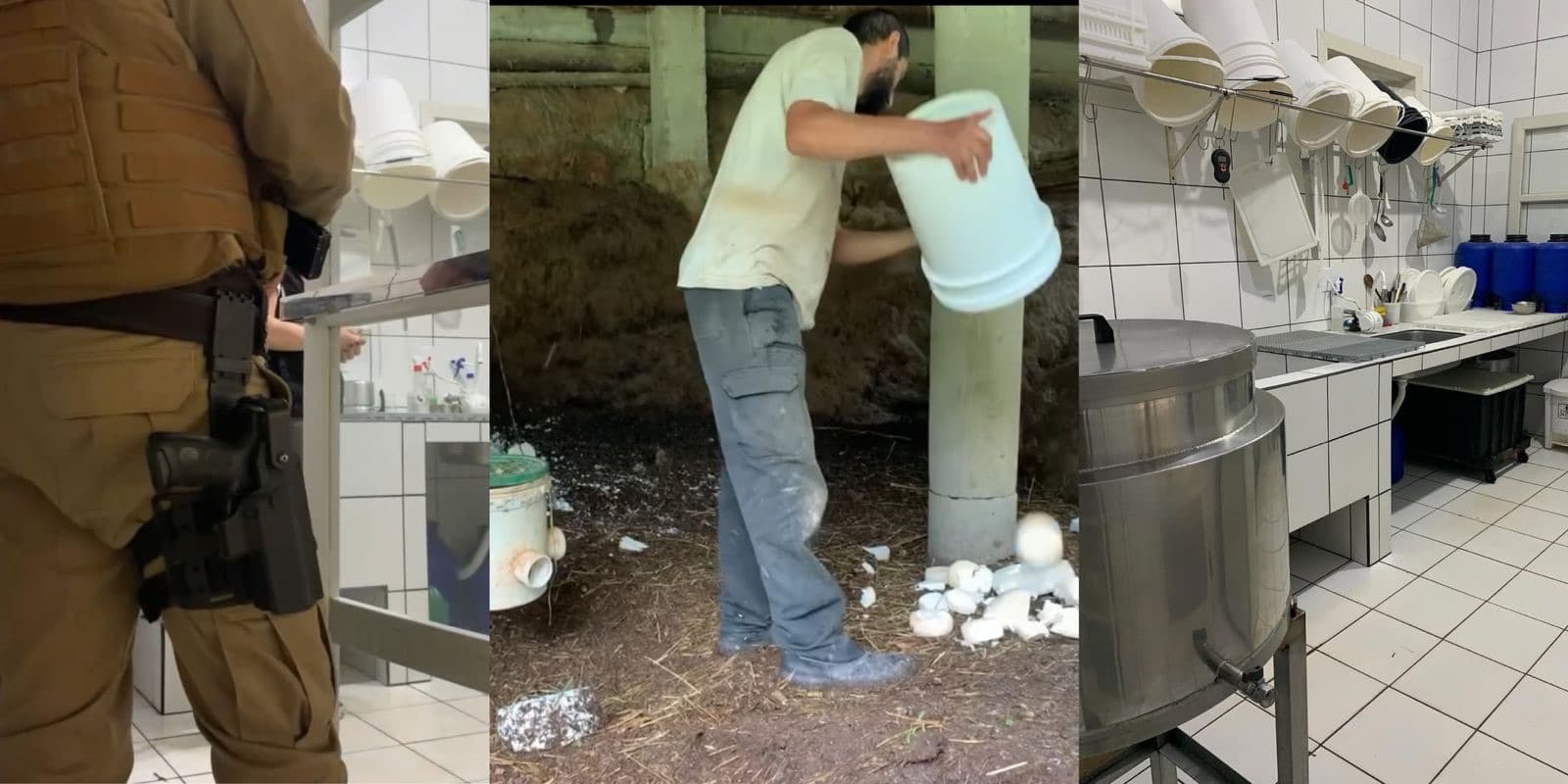 Família perde mais de 100 kg de queijos artesanais em SC após denúncia: “foi uma crueldade”