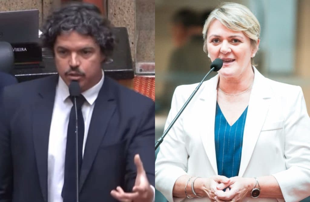 “Pretos, pardos e indígenas”: PT e PSOL tentam criar cotas para faculdades em SC, mas Alesc rejeita