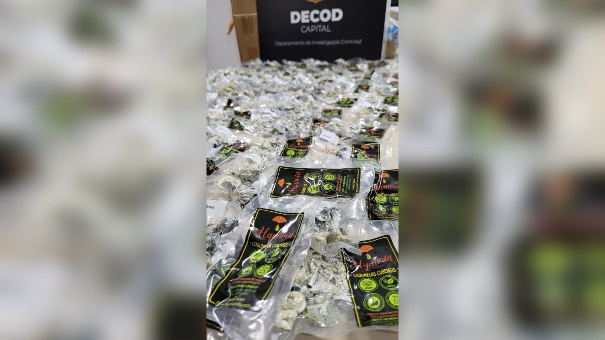 “Viagem” cancelada: polícia descobre que comércio de Floripa vendia cogumelos alucinógenos