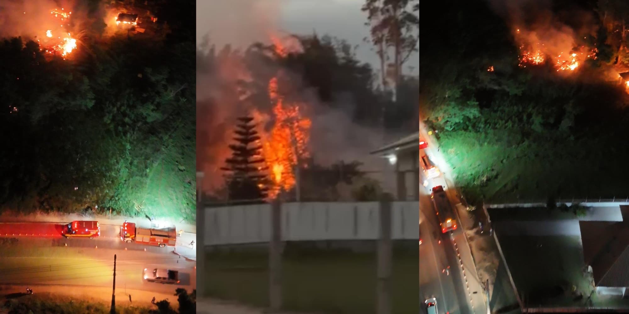 Bombeiros conseguem conter fogo que avançava sobre residências e assustou moradores em Tijucas