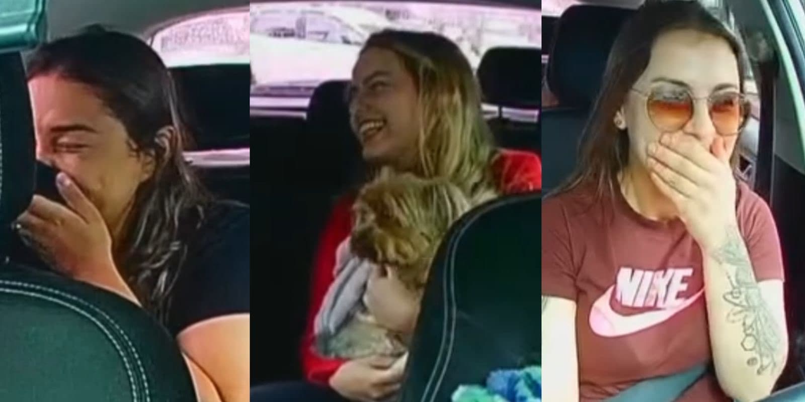 Cãozinho “podi” faz viagem por aplicativo ir de 0 a 100 em poucos minutos em Itapema