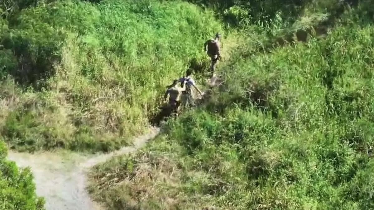 “Taradão do Campeche” é preso após ato explícito em trilha de Florianópolis