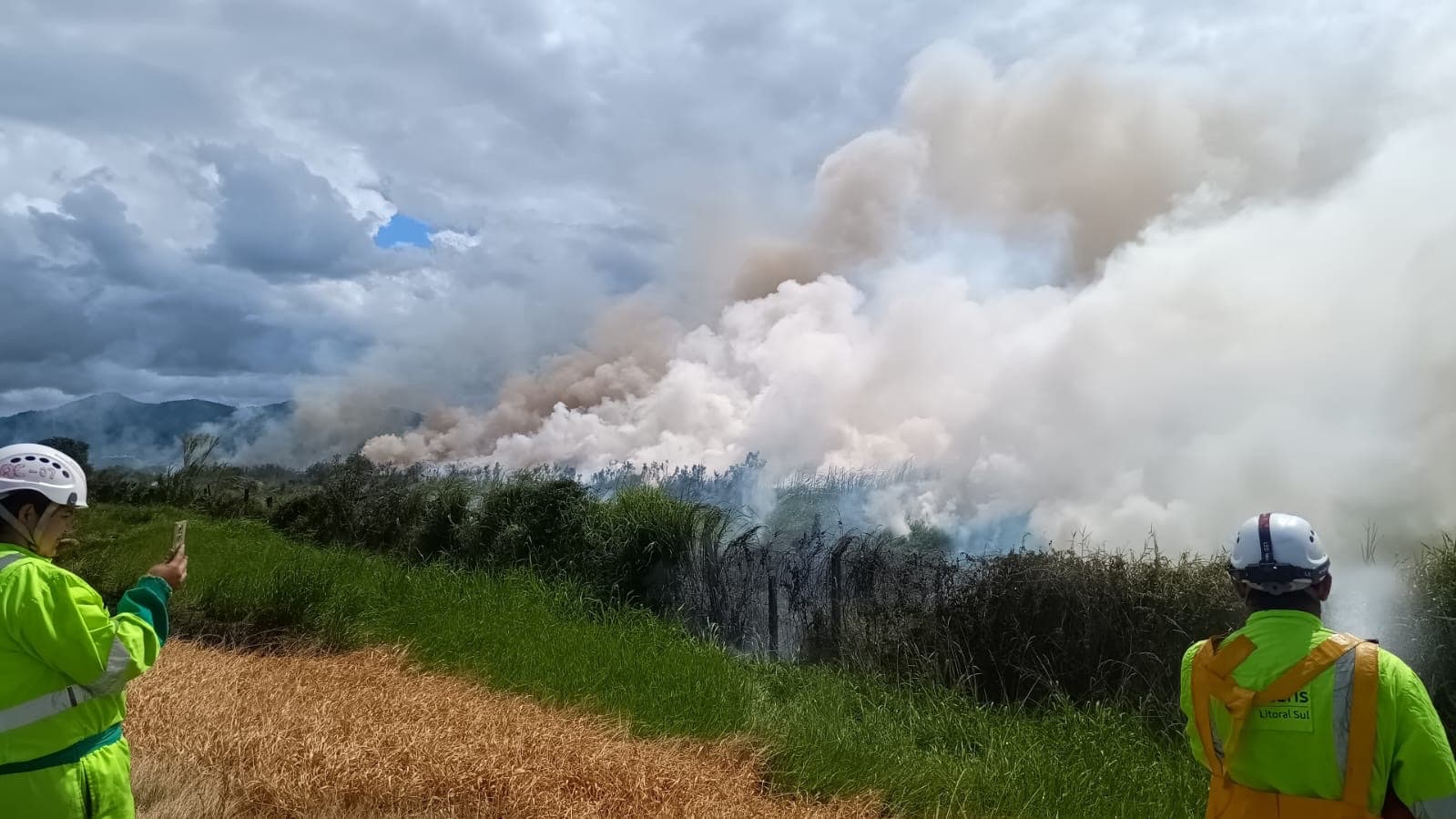 Bombeiros divulgam atualização sobre incêndio em vegetação às margens da BR-101, em Tijucas
