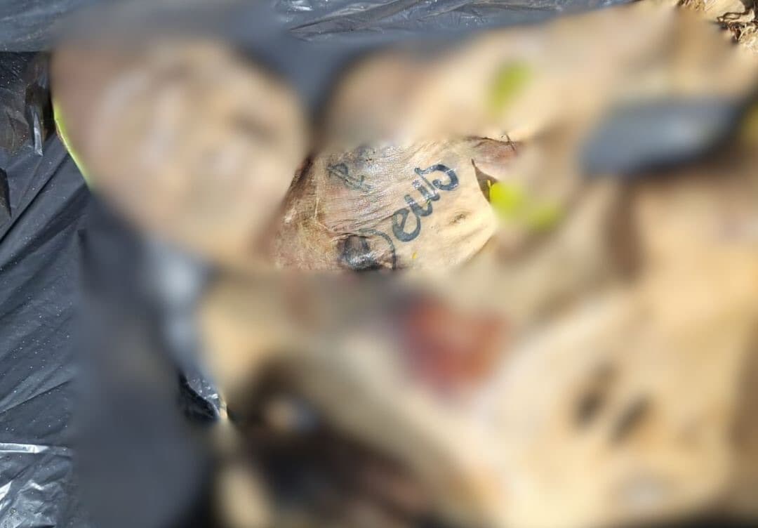 Após chacina cometida por facção, 5º corpo é encontrado em Biguaçu: “irreconhecível”