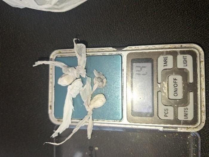 Homem surta, ameaça matar mulher e filhos e acaba preso com droga em Brusque