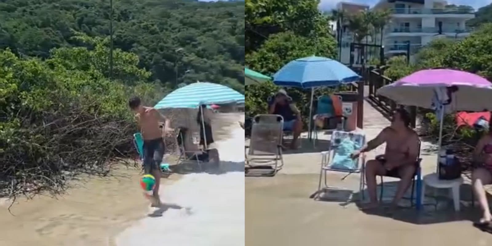 Moradora de condomínio de luxo em SC quer que prefeitura tire restinga da praia: “mato absurdo”