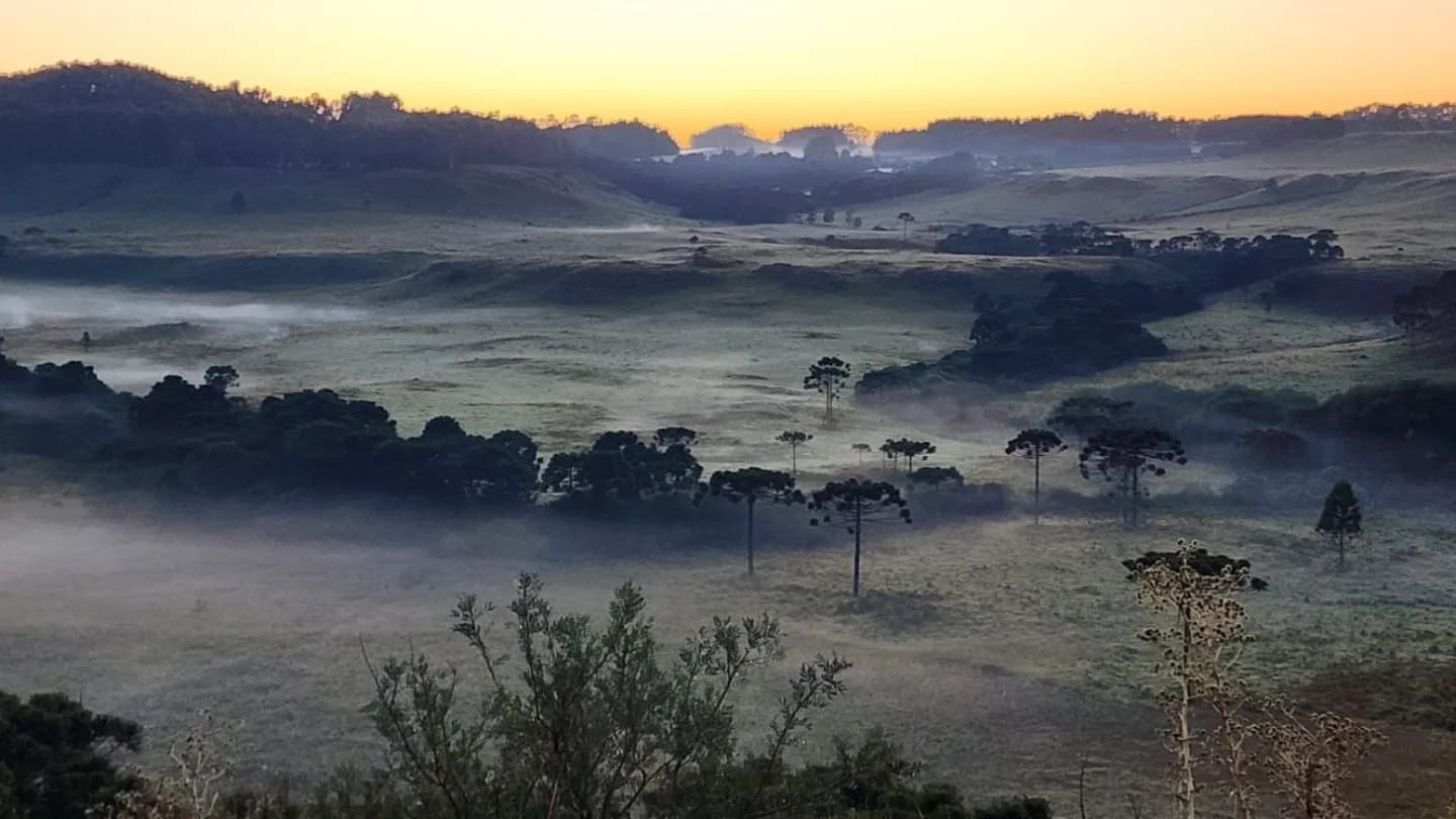 Geada fora de época surpreende Serra Catarinense e registra 0,9°C
