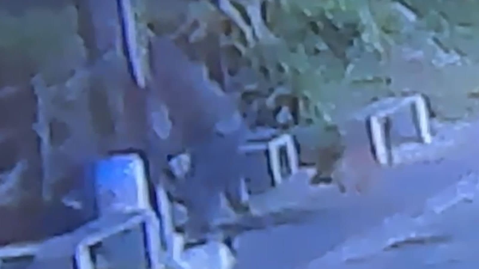 VÍDEO: Morador de rua foi espancado até a morte enquanto dormia no Litoral Catarinense