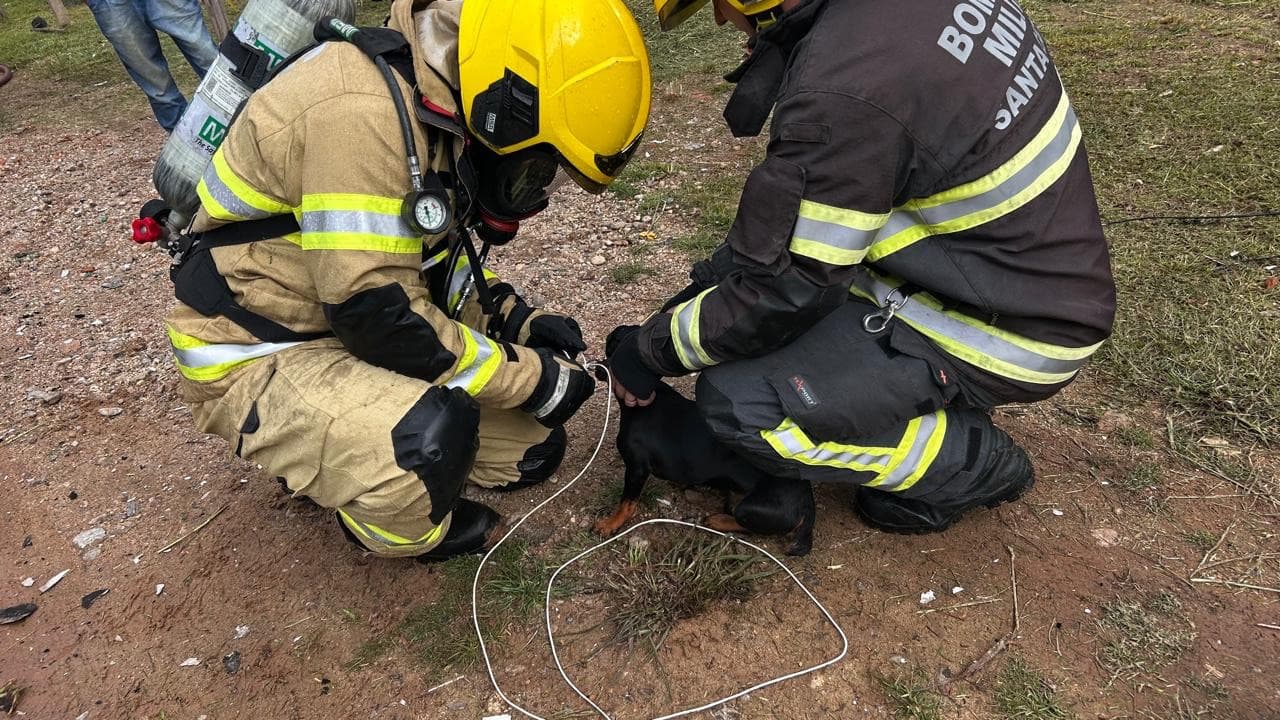 Casa é destruída por incêndio, mas bombeiros salvam cachorro preso dentro do imóvel em SC