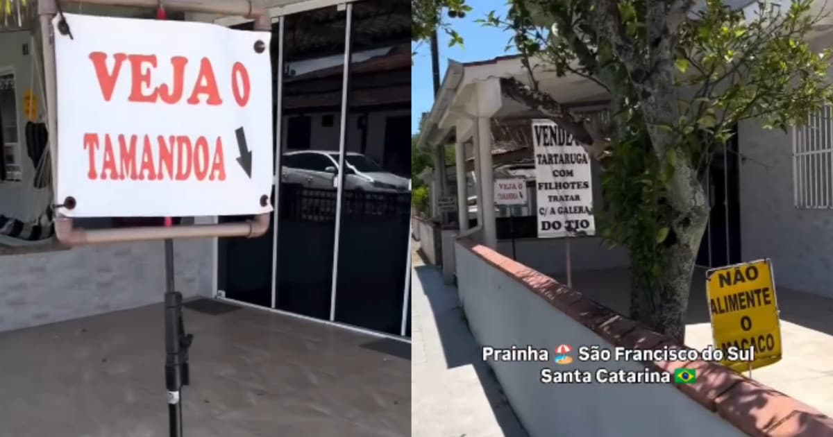 “Resenha garantida!”: tiozinho faz da própria casa um show de memes e vira atração em SC
