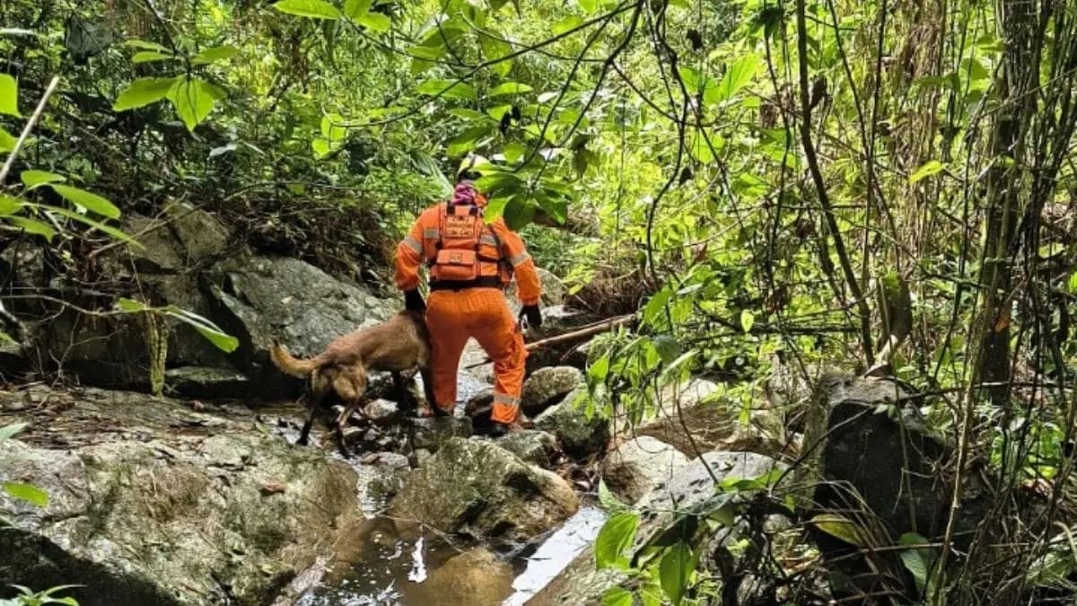 Homem desaparecido no Carnaval é encontrado morto em riacho próximo de casa