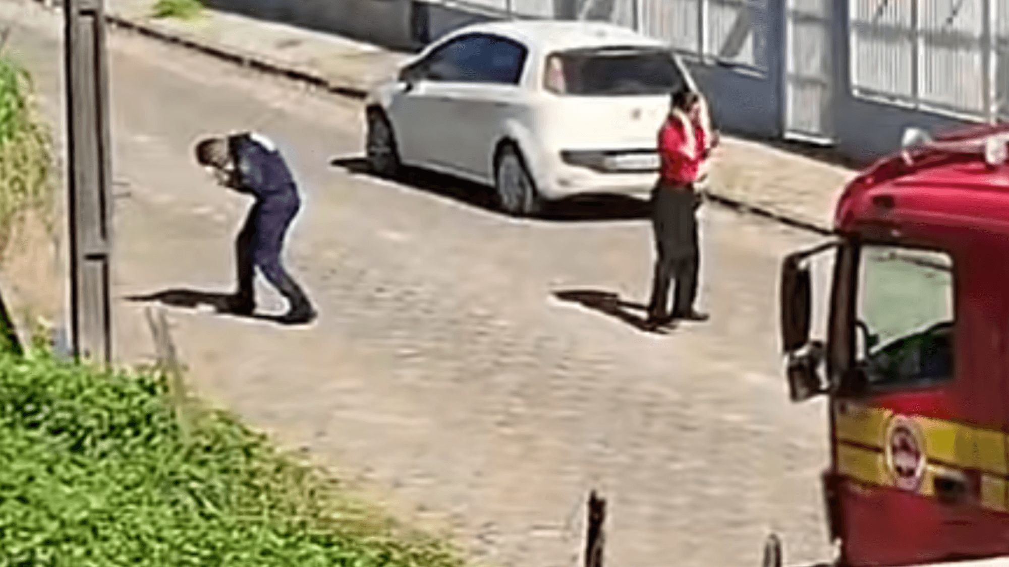 Bombeiros são atacados por abelhas durante resgate em SC