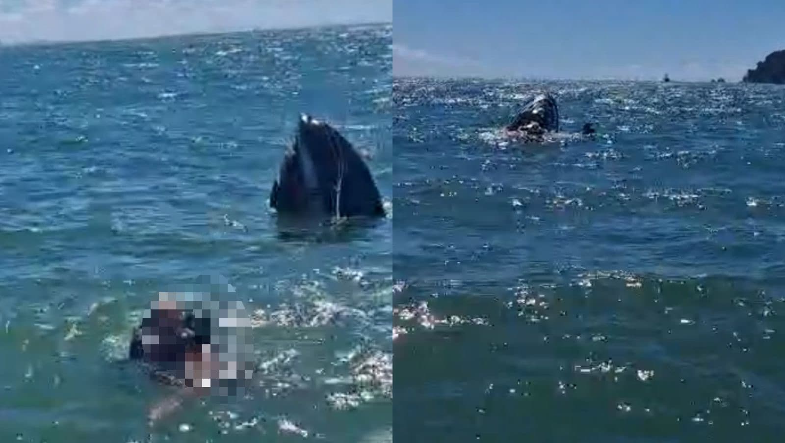 Dois homens são encontrados à deriva após jet ski virar no mar em SC