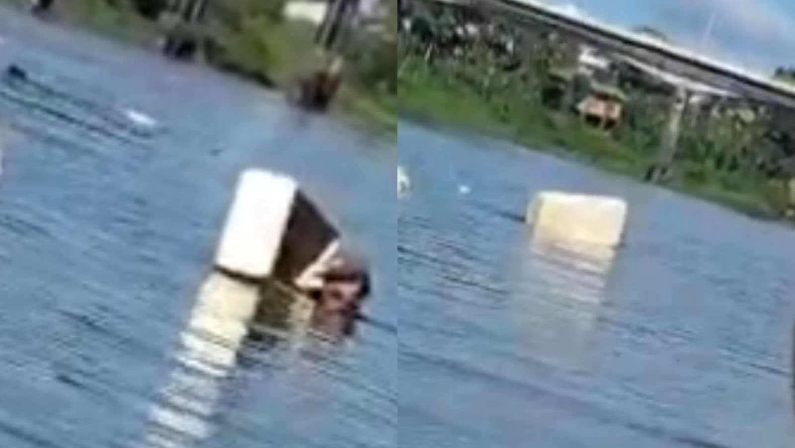 Pescador é flagrado agarrado a caixa de isopor após naufrágio no Rio Itajaí-Açu