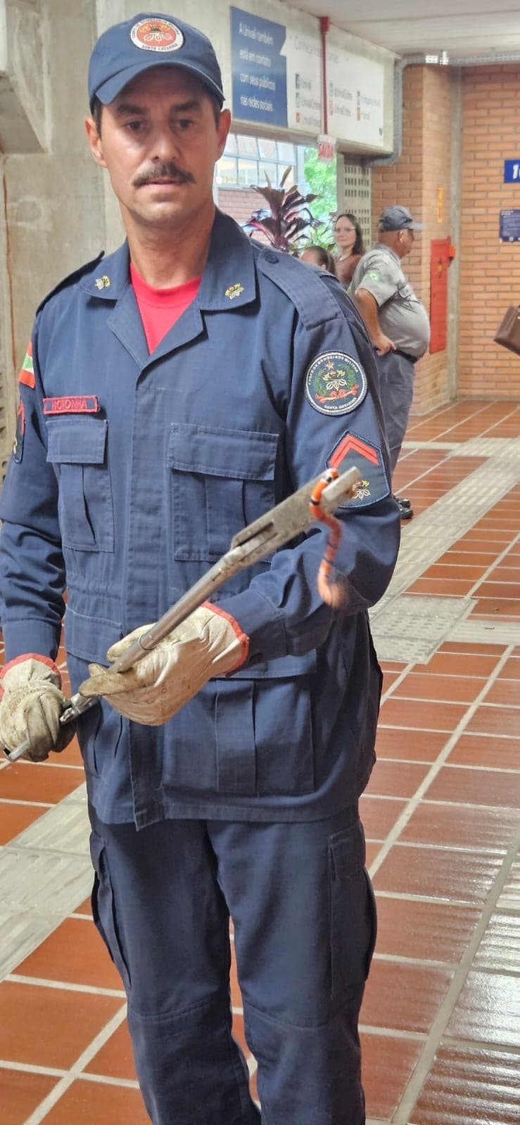 Cobra-coral verdadeira é capturada dentro de universidade