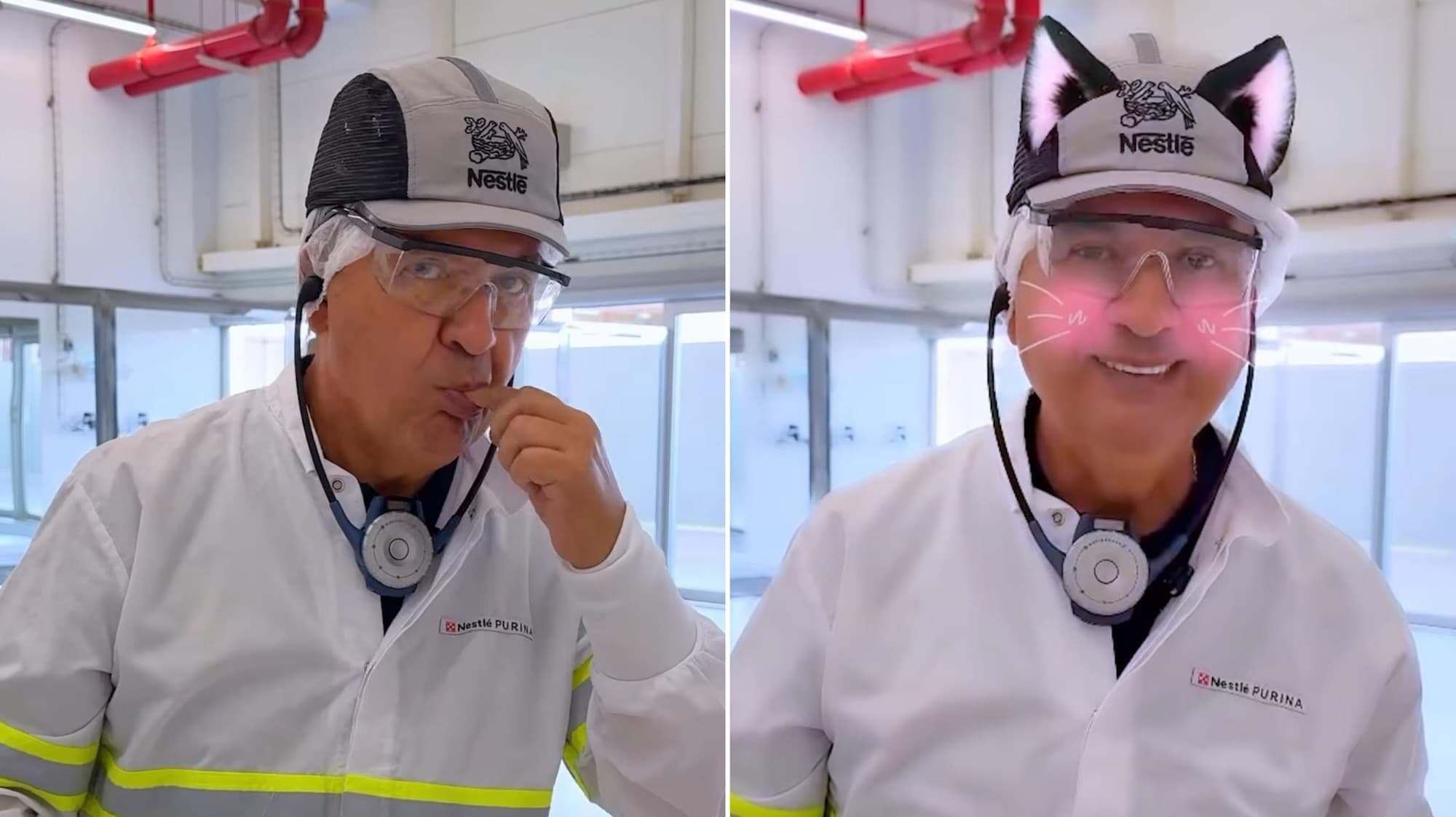 Governador come ração para comemorar abertura de fábrica em SC: “de gato? Eu posso provar”