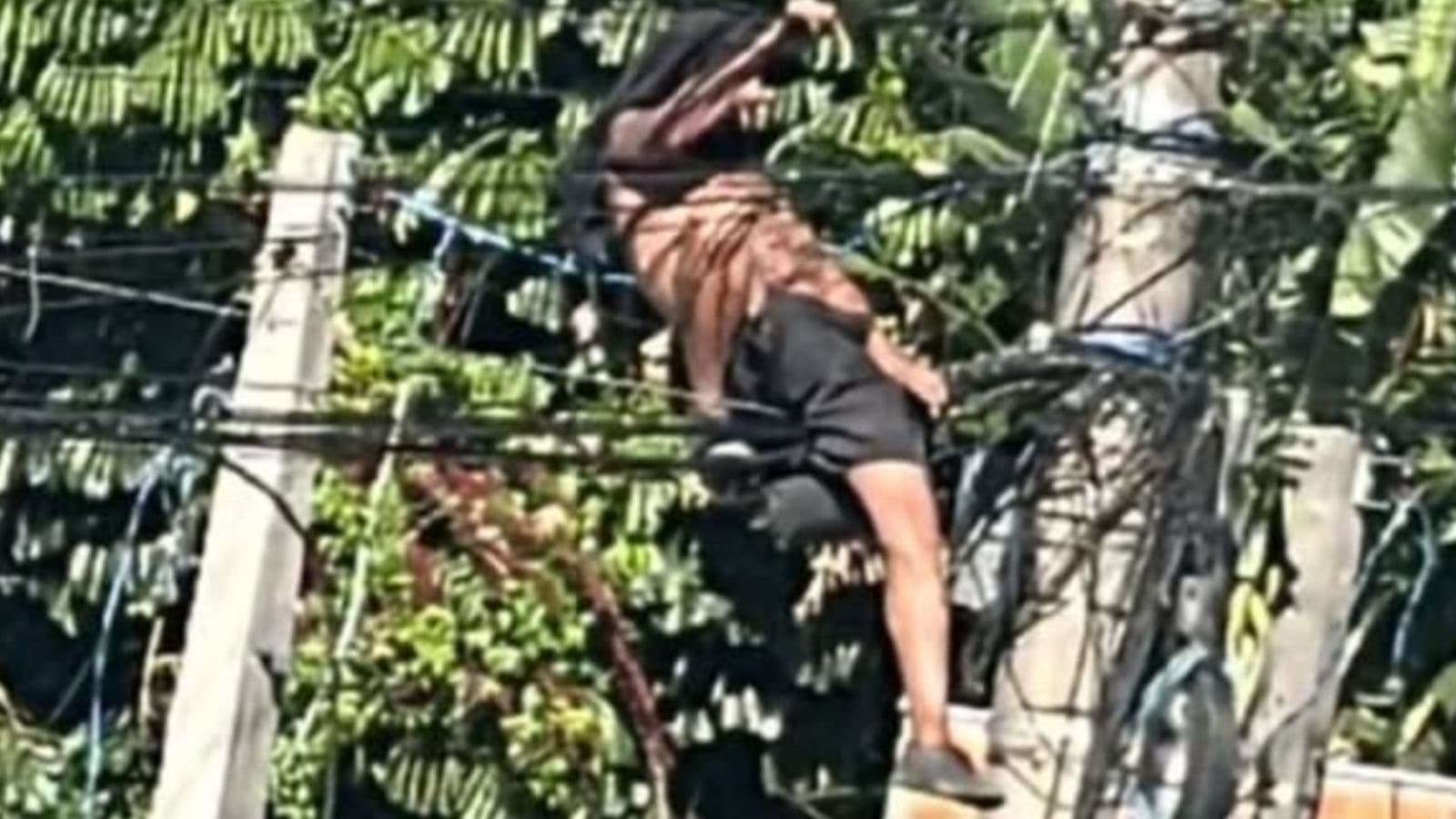 “SEM MEDO DE MORRER”: ladrão sobe em poste energizado e furta fios em Camboriú