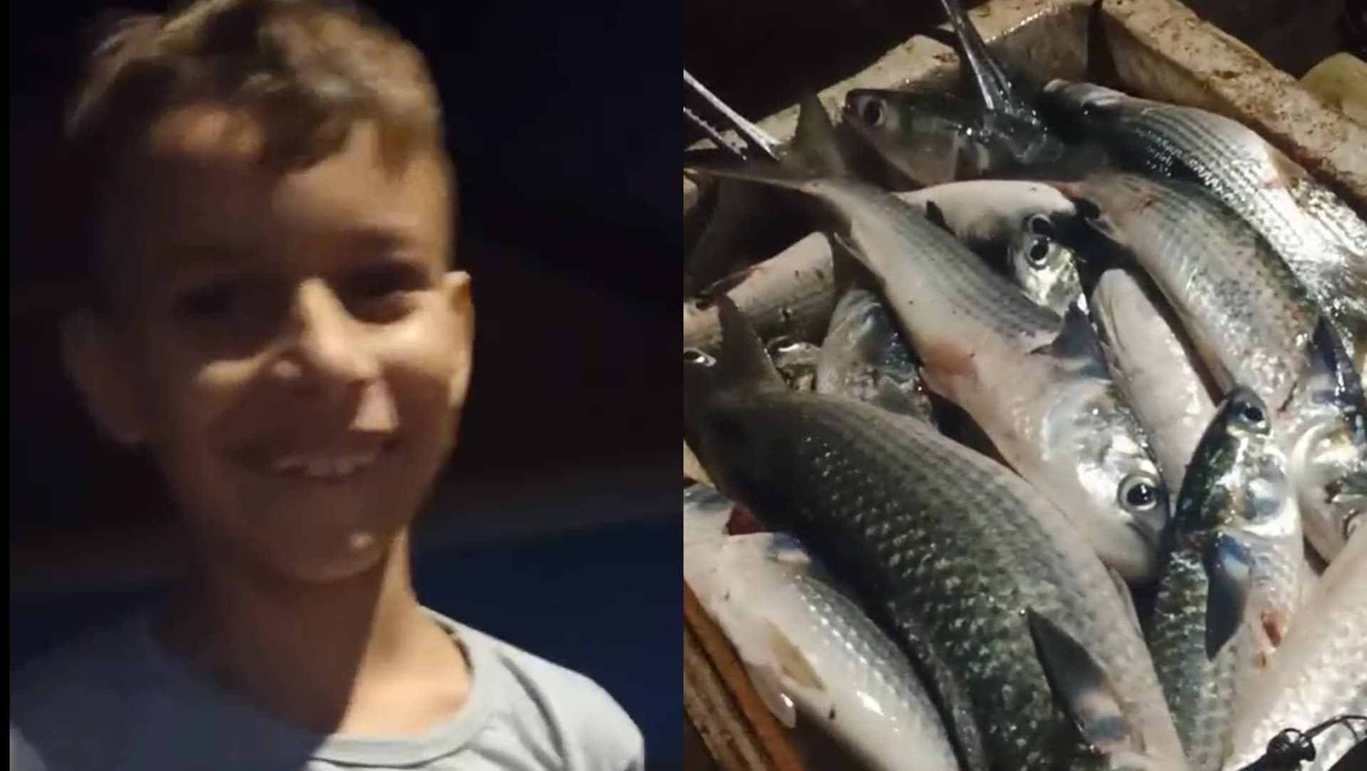 “Deus proveu”: criança se emociona ao ver o pai pescador chegar em casa com bastante peixe em SC