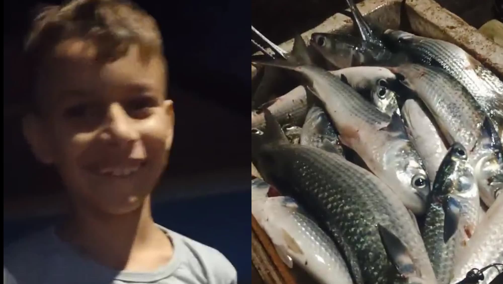 “Deus proveu”: criança se emociona ao ver o pai pescador chegar em casa com bastante peixe em SC