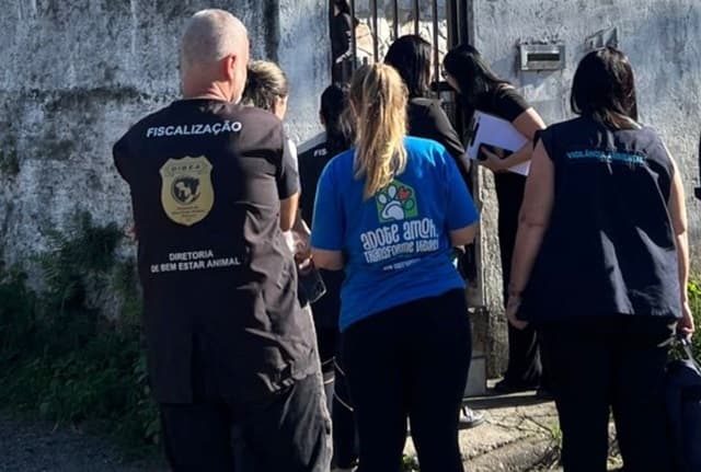 Operação flagra 32 cães amontoados em meio à imundície em casa de SC
