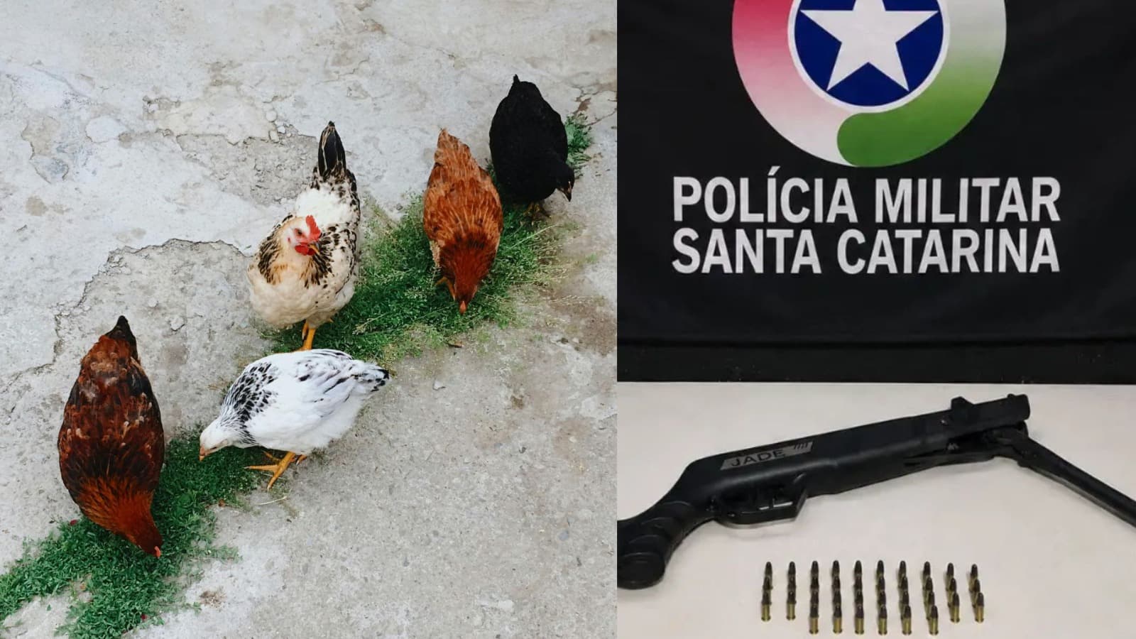 Briga entre vizinhos após bombinhas para espantar galinhas termina em tiros em Itajaí