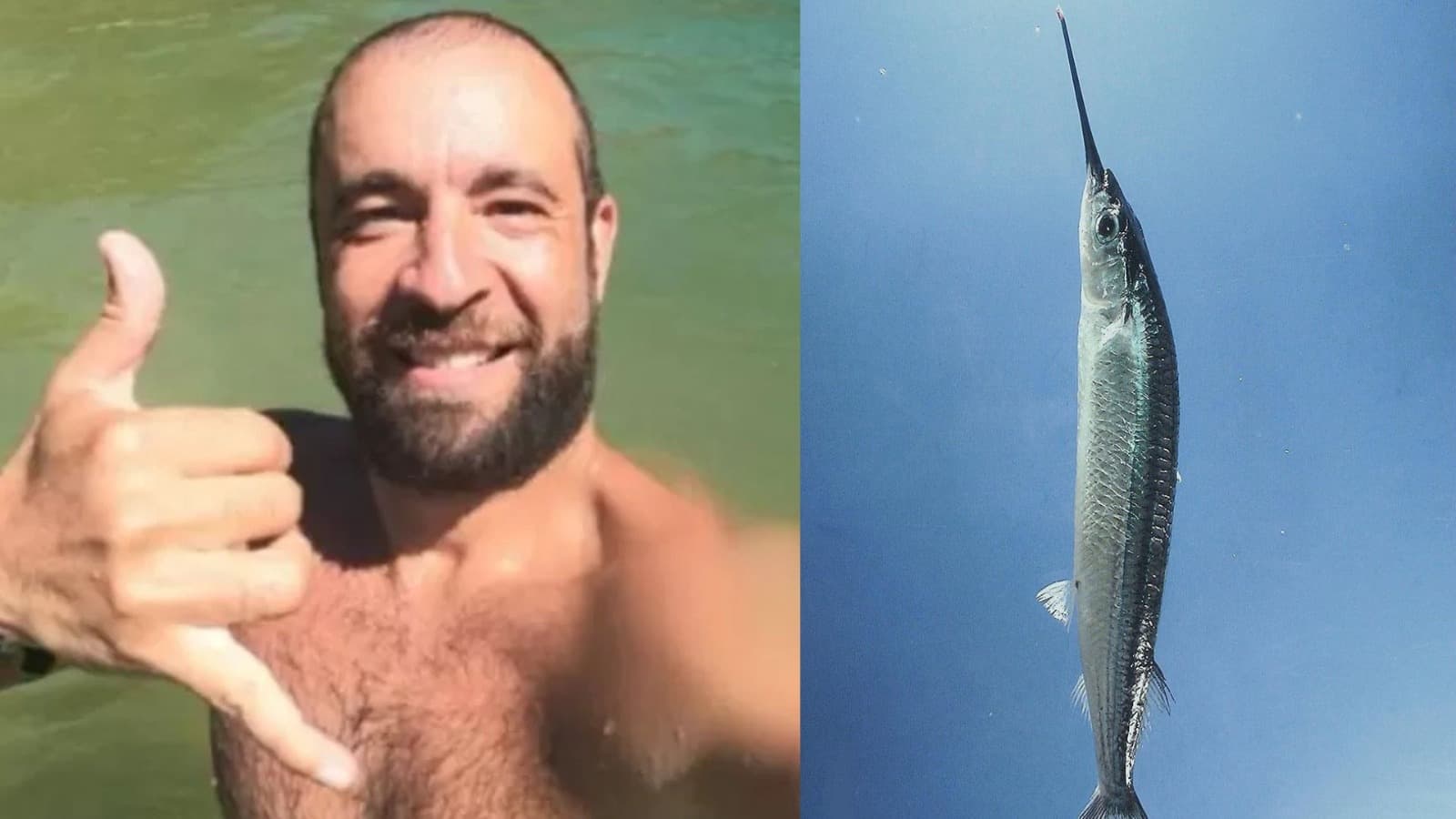 Surfista de Itajaí é atingido no coração por peixe-agulha: “a vida é um sopro”