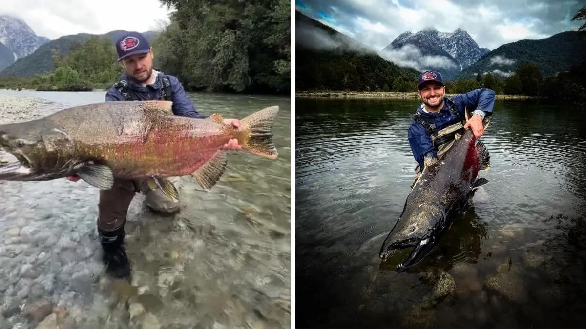 Pescador de Brusque captura salmão-rei de 20 kg durante expedição na Patagônia