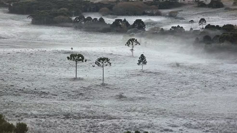 Massa de ar frio derruba temperaturas e Santa Catarina terá mínimas negativas