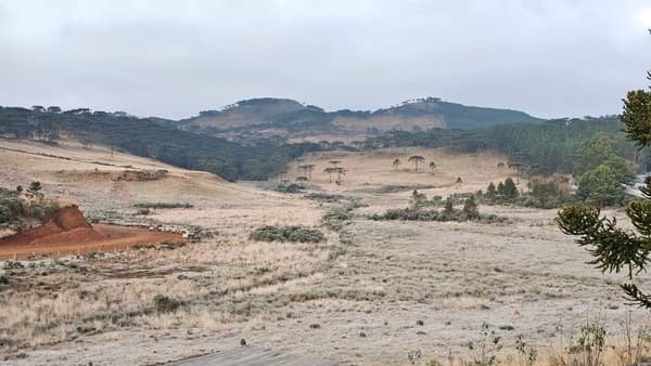 Serra catarinense registra madrugada congelante e novo recorde de frio no estado