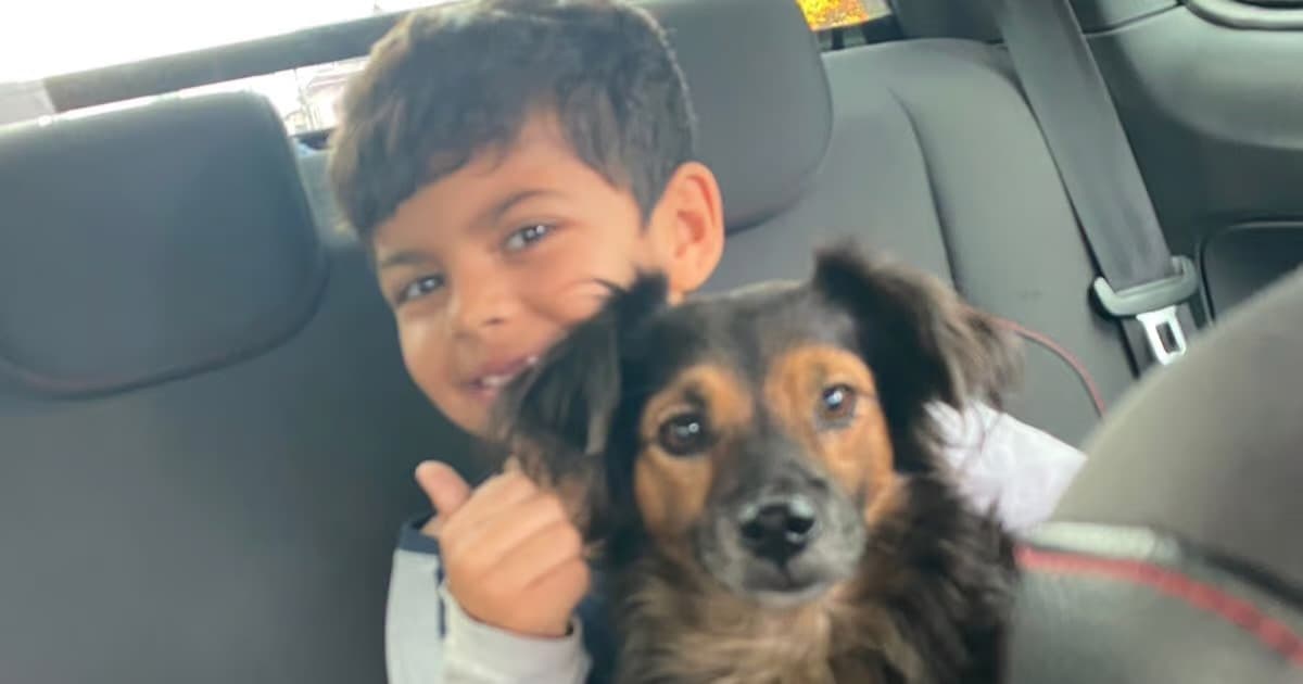 Cão desaparecido há quase um mês reencontra tutora com ajuda de aplicativo em BC
