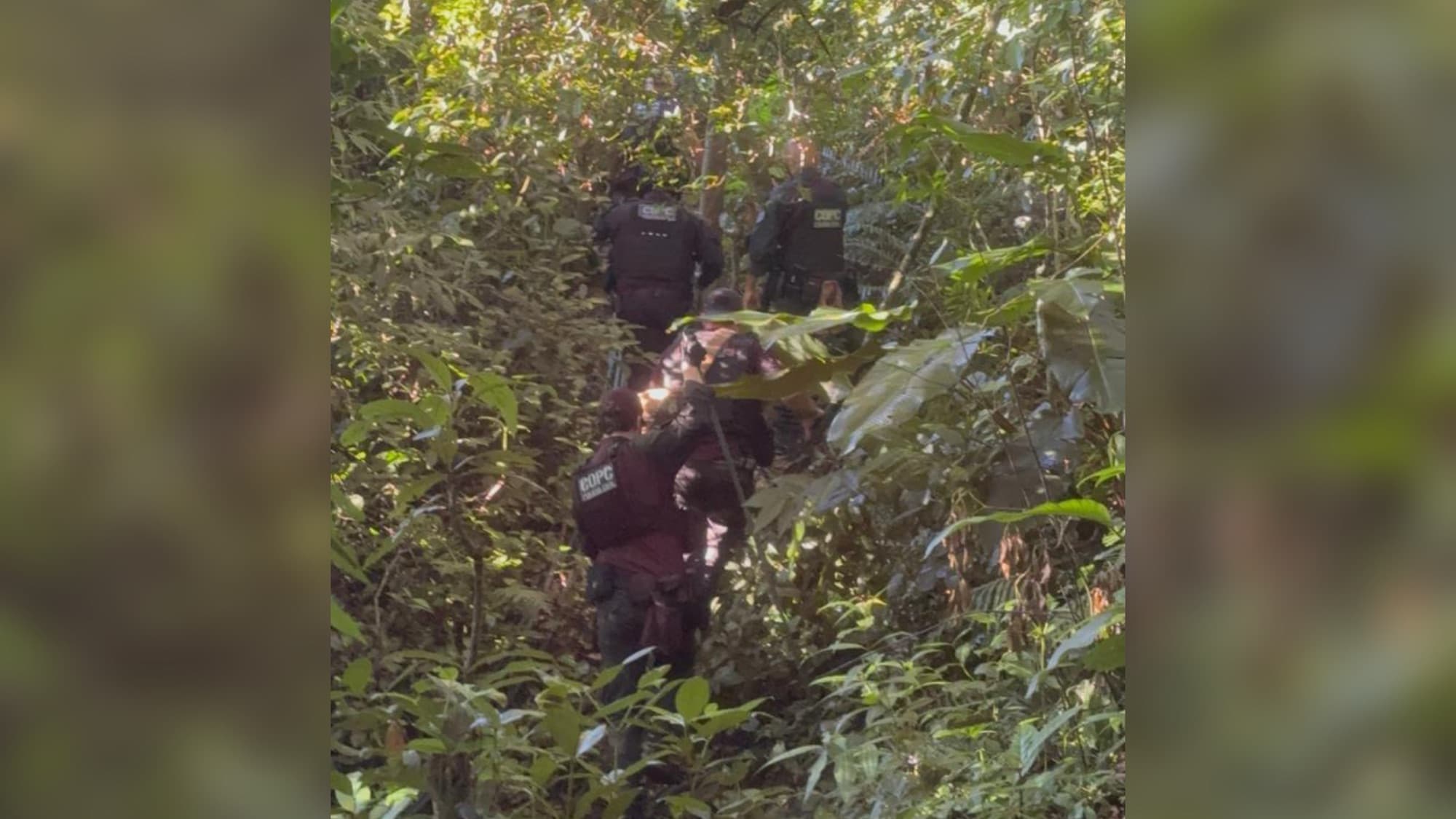 Restos mortais são encontrados em área usada por facção para ocultar corpos em São José