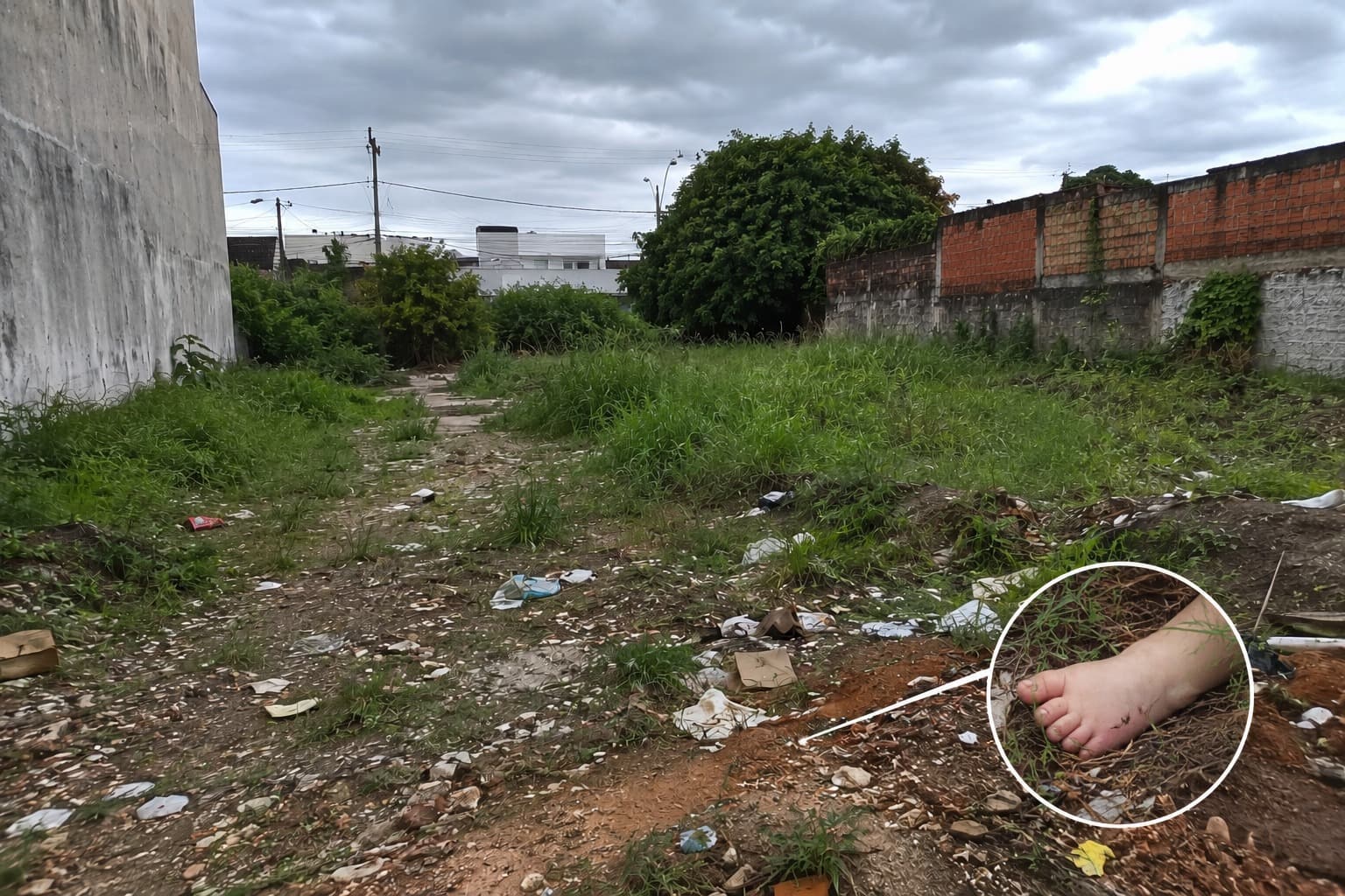 “Mãe” que abandonou recém-nascido em terreno baldio e o deixou morrer é condenada em SC