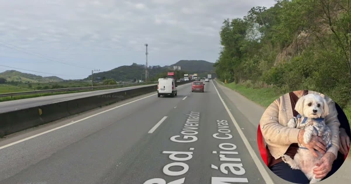 Idosa de 85 anos morre em acidente na BR-101 em Penha; cachorro desaparece após a colisão