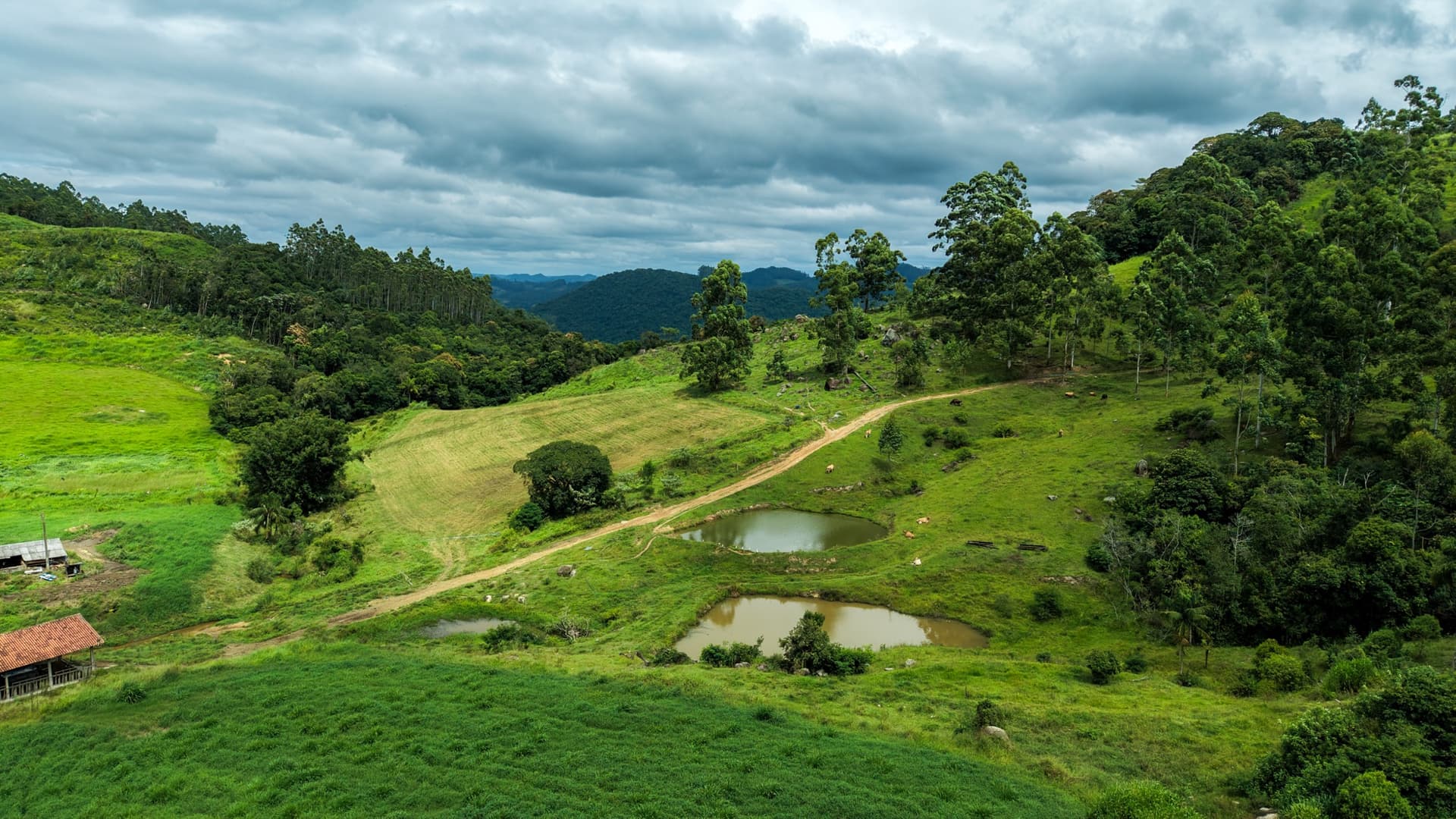 Santa Catarina abre inscrições para programa que paga produtores pela conservação de florestas