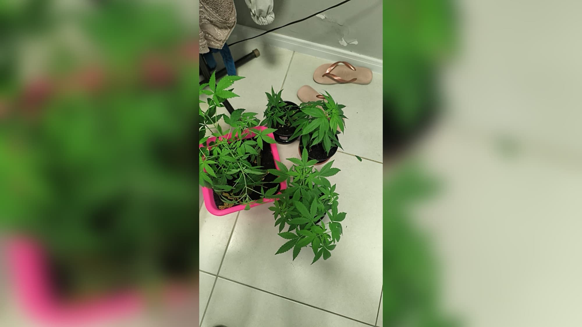 Homem em surto é preso após PM descobrir mandado em aberto e encontrar drogas em apartamento