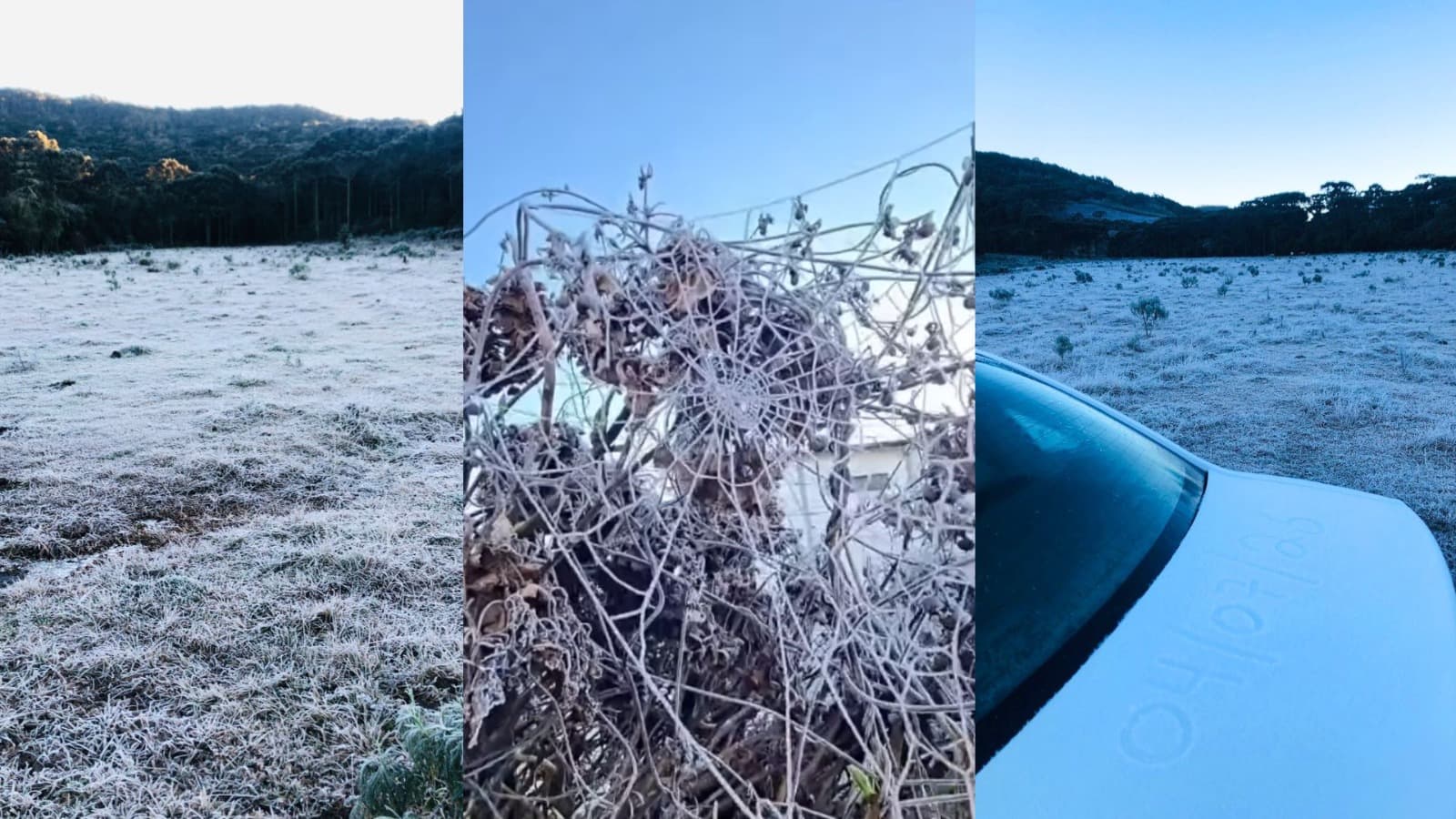 Teia de aranha congela e lago vira gelo: Bom Jardim da Serra bate -5,7°C neste sábado