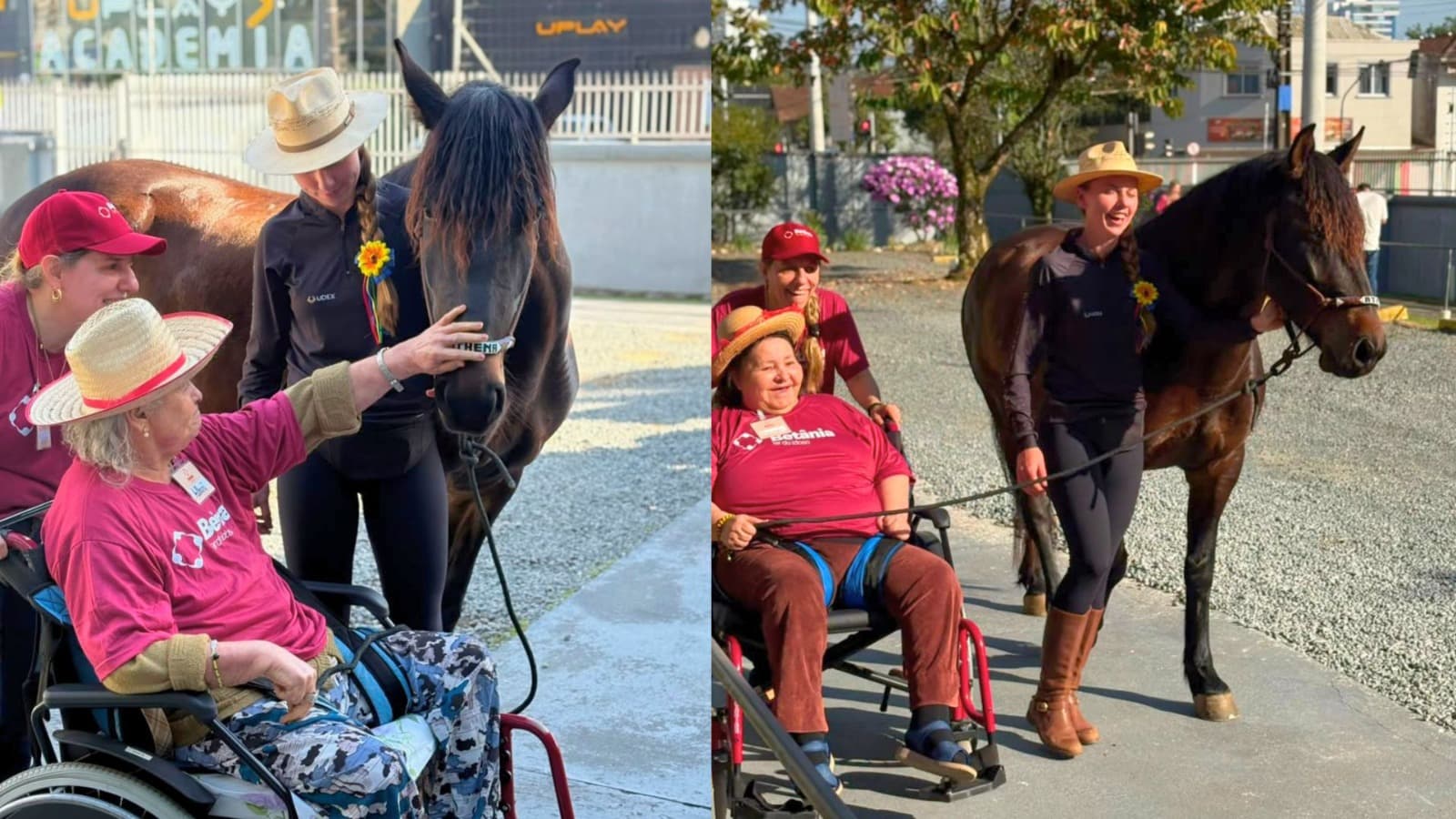 Cavalos Resgate e Athena visitam idosos em Joinville e viram terapia contra a solidão: “São João do Pocotó”
