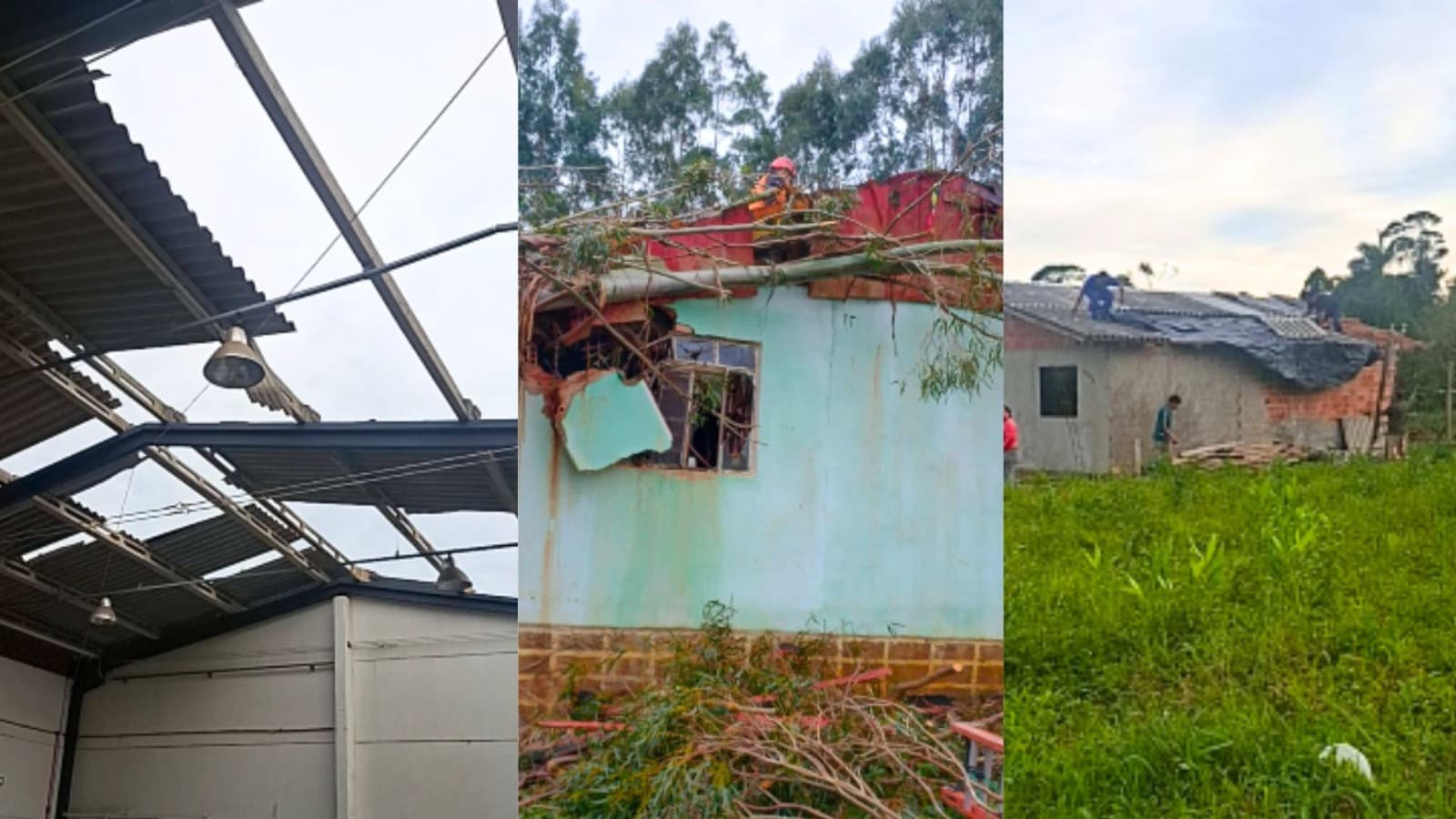 Frente fria avança com força em SC: ventos intensos e quedas de árvores provocam estragos no Norte, Oeste e Litoral
