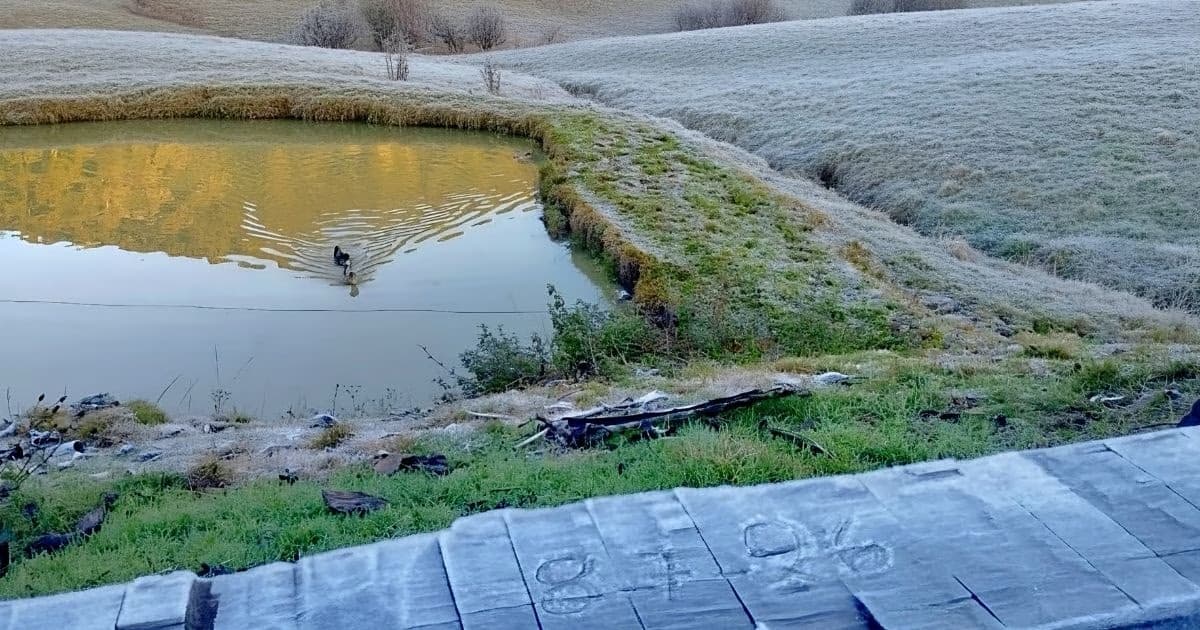 Vale do Itajaí registra o amanhecer mais frio de julho com temperatura abaixo de zero