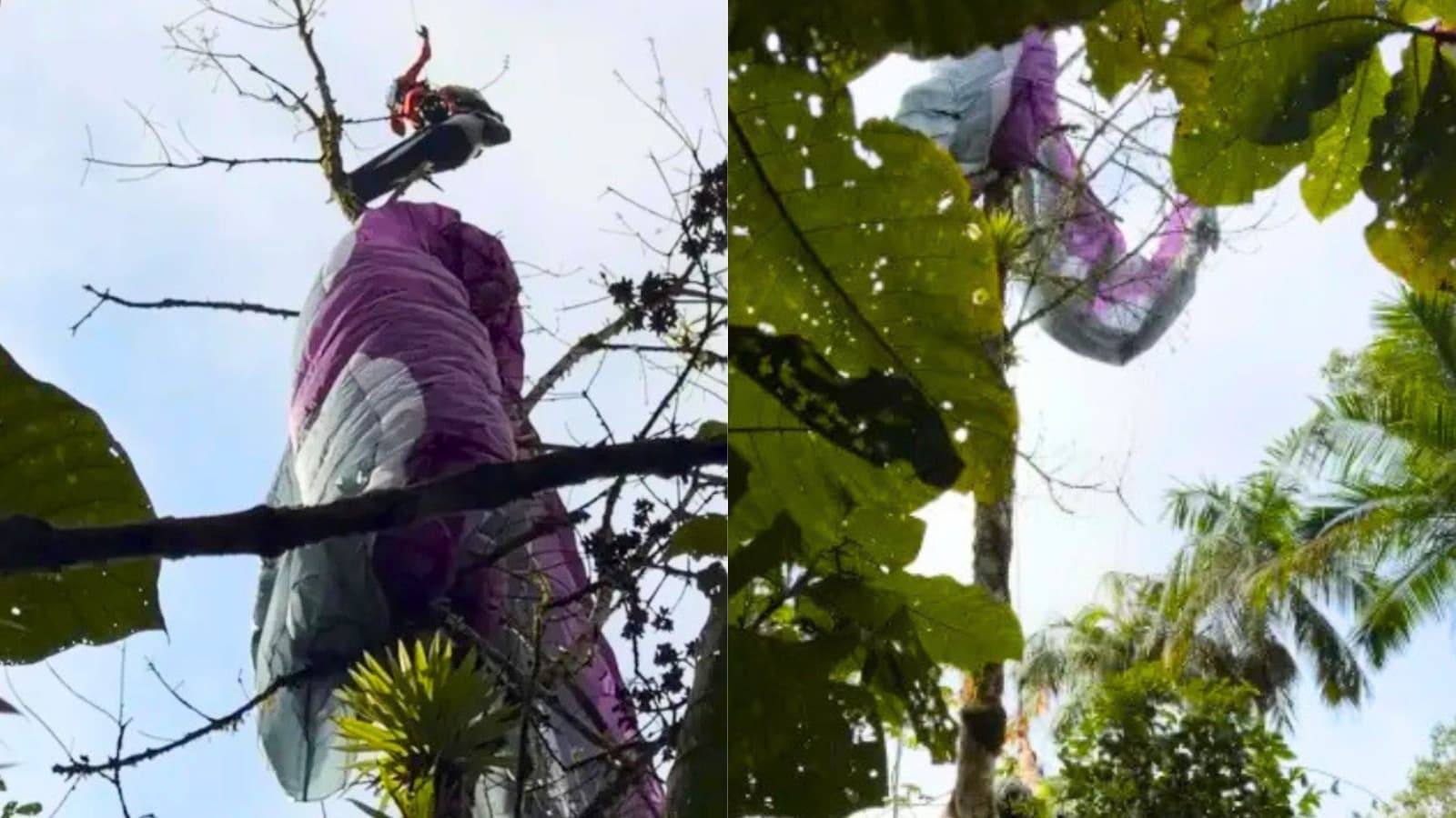 Parapentista fica preso em árvore e é resgatado por helicóptero no Morro Azul, em Timbó